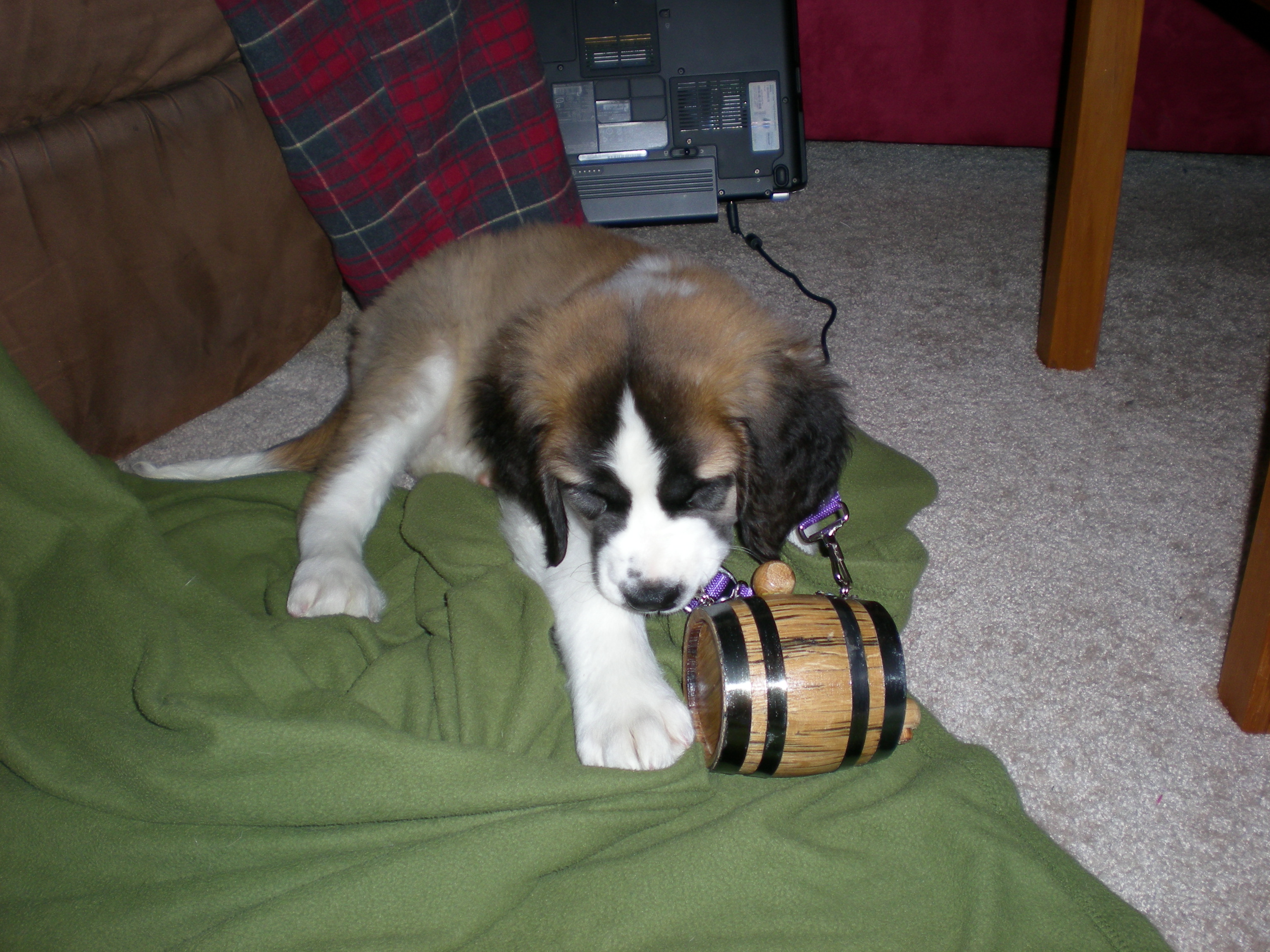 dscn0195.jpg