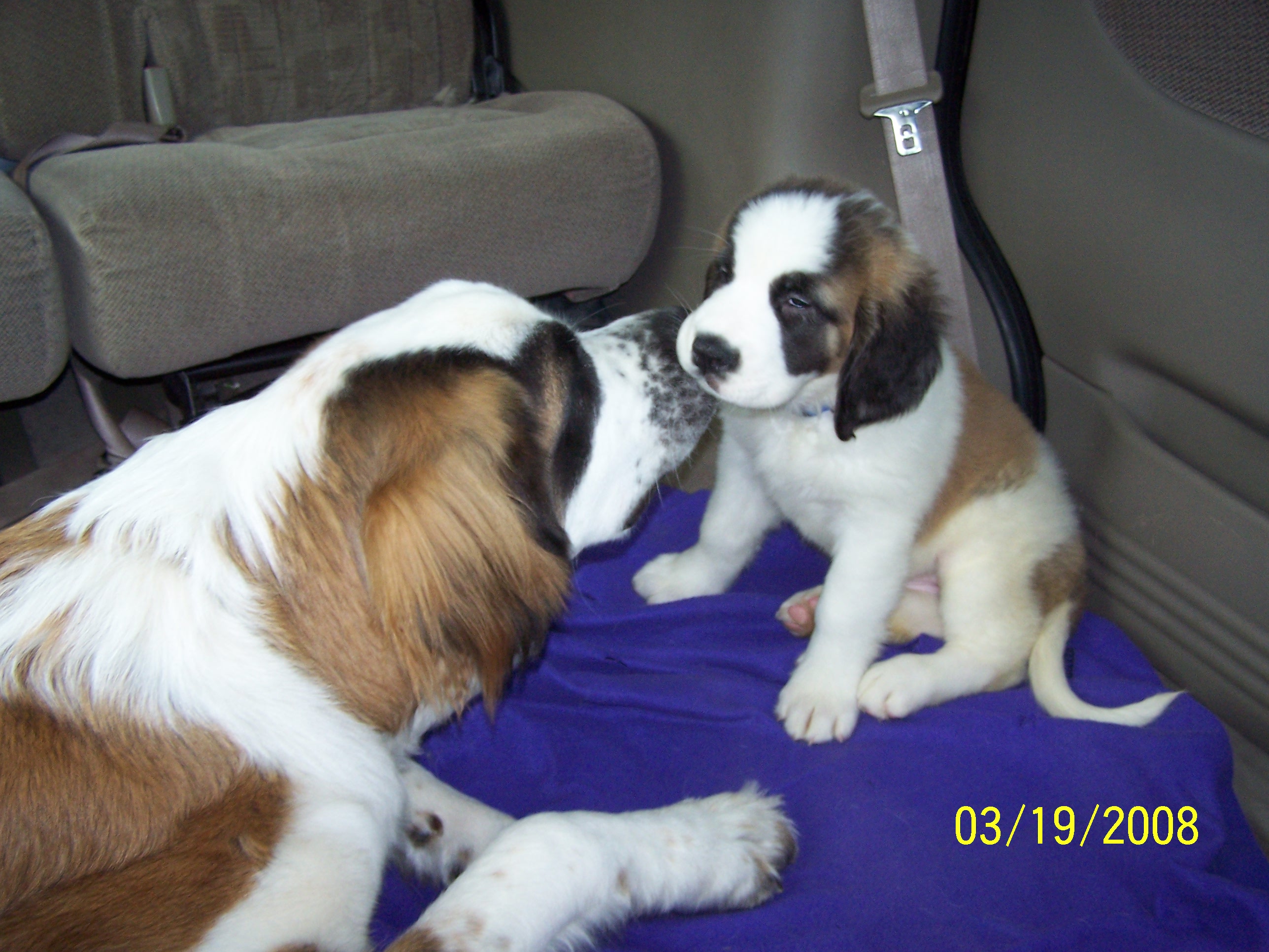 minna_march_19_2008_016.jpg